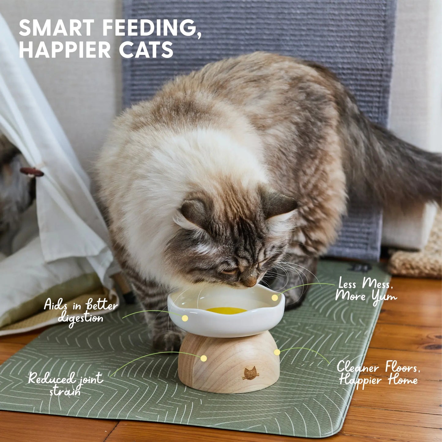 Egg Cat Bowl