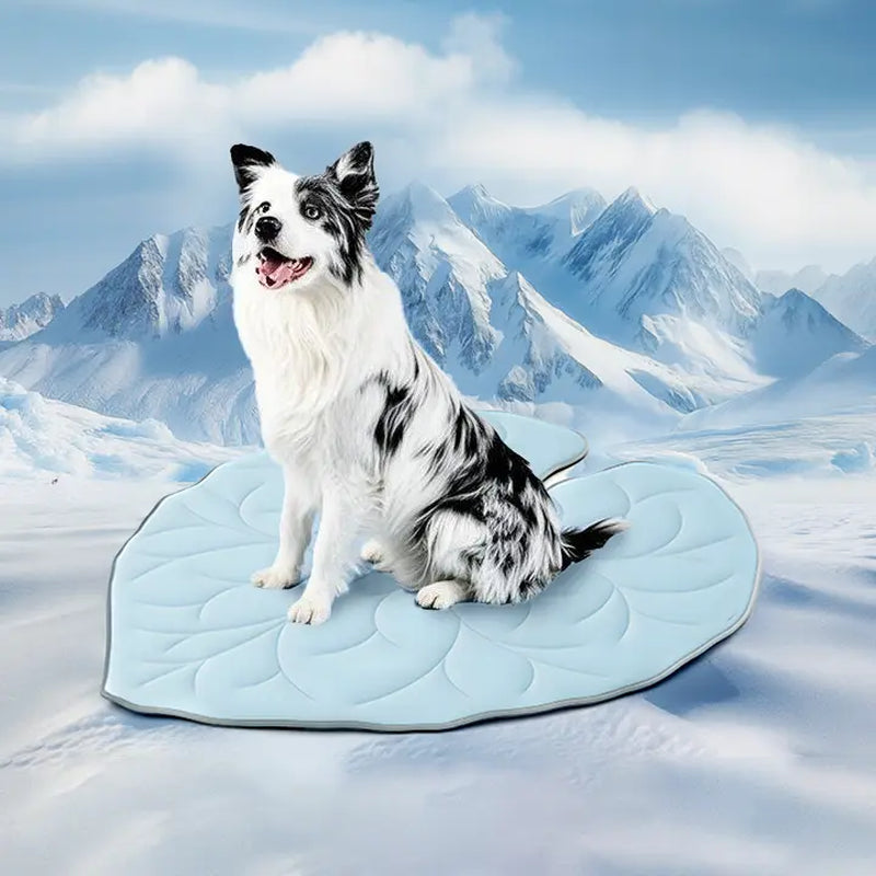 Vagascape Cooling Pet Mat, Eco-Friendly Cooling Pad for Large Dog, Summervibes Cooling Mats for Dog Bed ，Petloverspetand Cat House, Use in Crate, Tunk, Camping, Outdoors, Portable, Machine Washable, Durable, without Gel, Outdoorfun