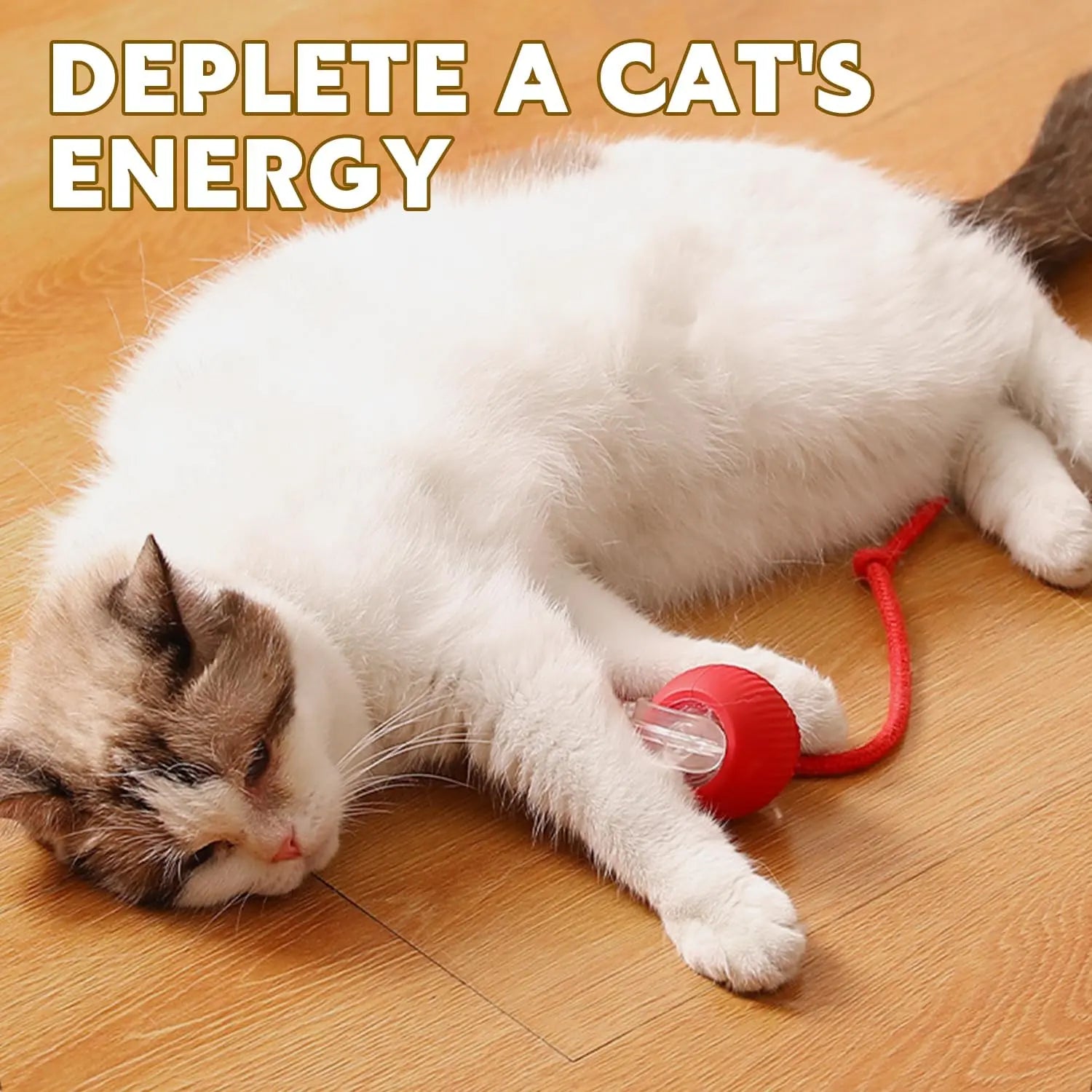 Interactive Cat Toys for Indoor Cats, Interactive Pet Toy Ball, Cat Toy Ball for Bored Indoor Cats, Smart Rolling Ball for Dogs & Cats (Red)