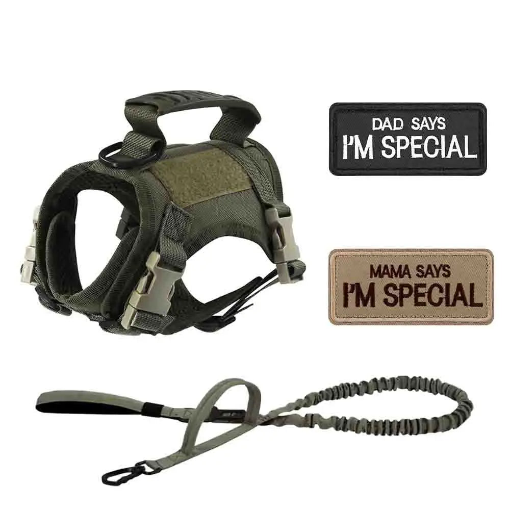 Tactical Dog Harness Set for Small Dogs and Cats -#Summervibes #Petlovers-Dog Vest Dog Leash with 2 Patches Dog Car Harness Outdoorfun