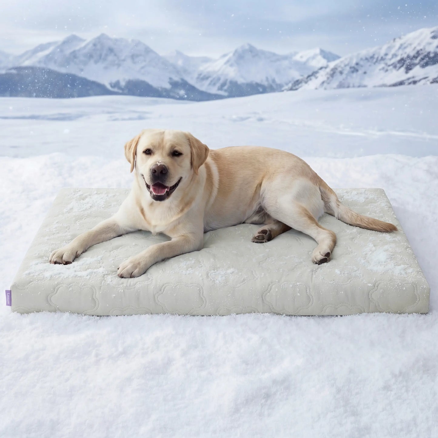 Lesure Cooling Orthopedic Dog Thick Mat – Q-Max>0.5 Cooling Mat with Washable Cover, Egg Crate Foam Non-Slip Bed for Extra Large Dogs