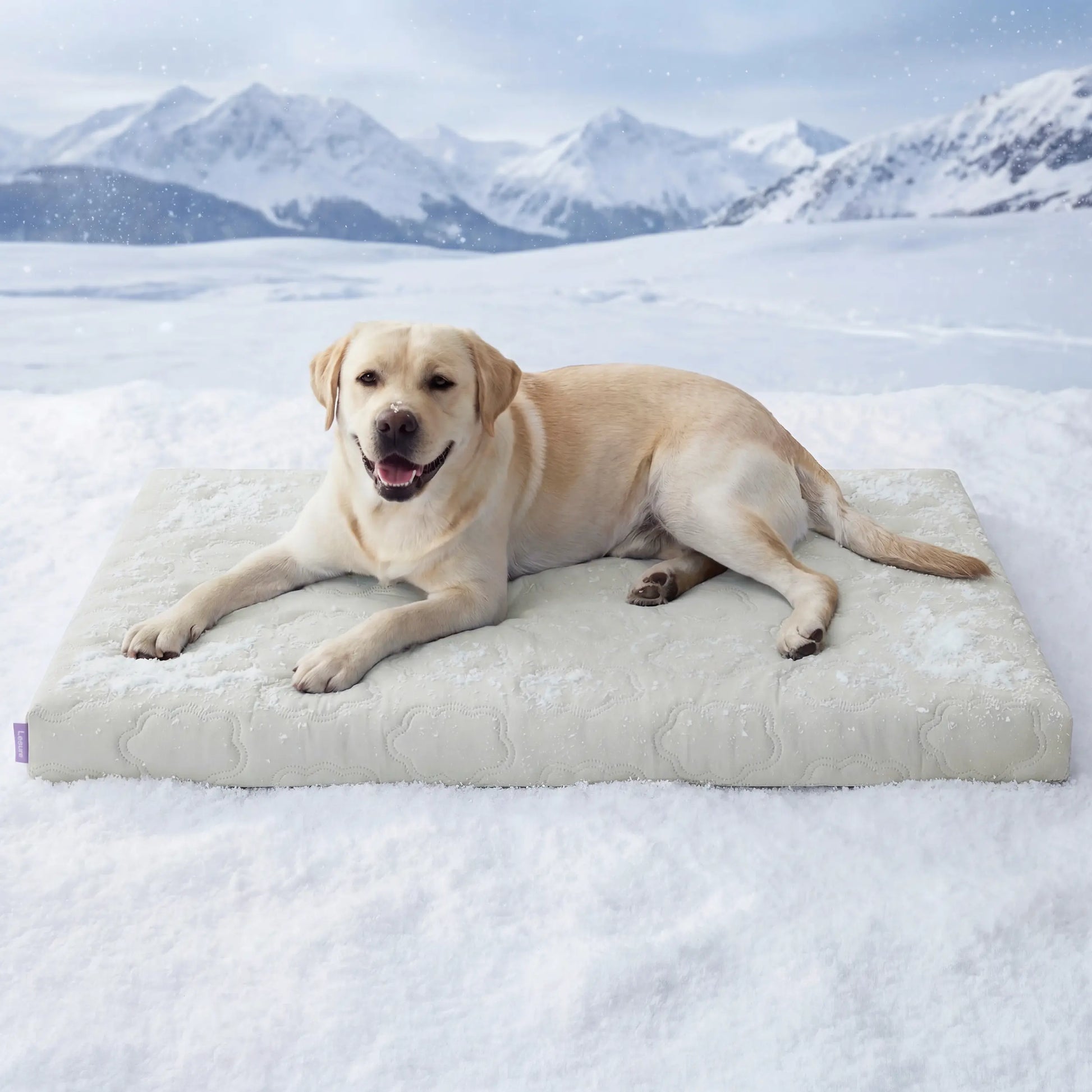 Lesure Cooling Orthopedic Dog Thick Mat – Q-Max>0.5 Cooling Mat with Washable Cover, Egg Crate Foam Non-Slip Bed for Extra Large Dogs