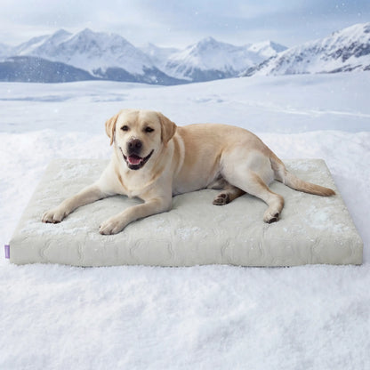 Lesure Cooling Orthopedic Dog Thick Mat – Q-Max>0.5 Cooling Mat with Washable Cover, Egg Crate Foam Non-Slip Bed for Extra Large Dogs