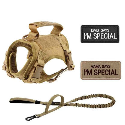 Tactical Dog Harness Set for Small Dogs and Cats -#Summervibes #Petlovers-Dog Vest Dog Leash with 2 Patches Dog Car Harness Outdoorfun