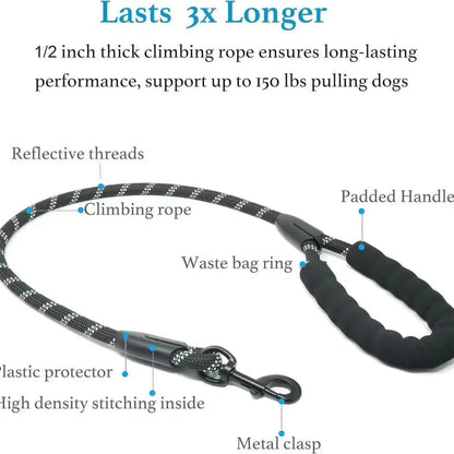 Pipidodo Dual Dog Leash with Shock Absorber, Tangle-Free 360° Swivel, Comfortable Padded Handle for Walking 2 Dogs No Pull