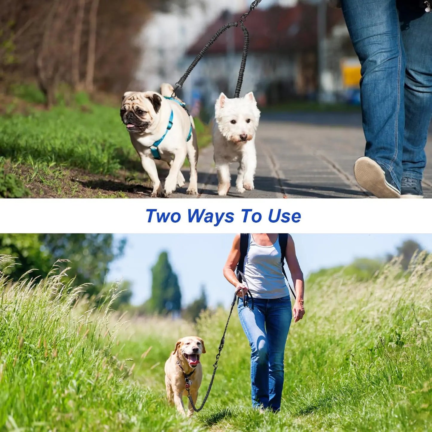 Pipidodo Dual Dog Leash with Shock Absorber, Tangle-Free 360° Swivel, Comfortable Padded Handle for Walking 2 Dogs No Pull