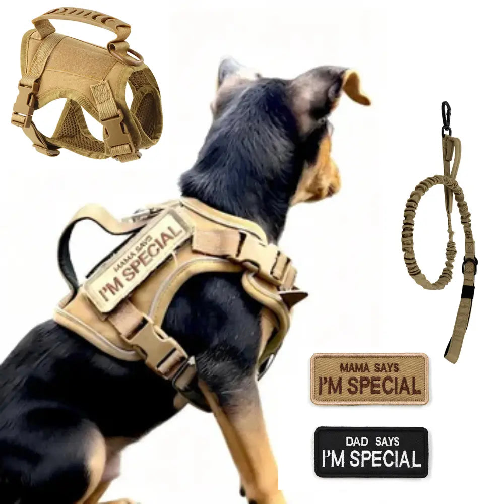 Tactical Dog Harness Set for Small Dogs and Cats -#Summervibes #Petlovers-Dog Vest Dog Leash with 2 Patches Dog Car Harness Outdoorfun