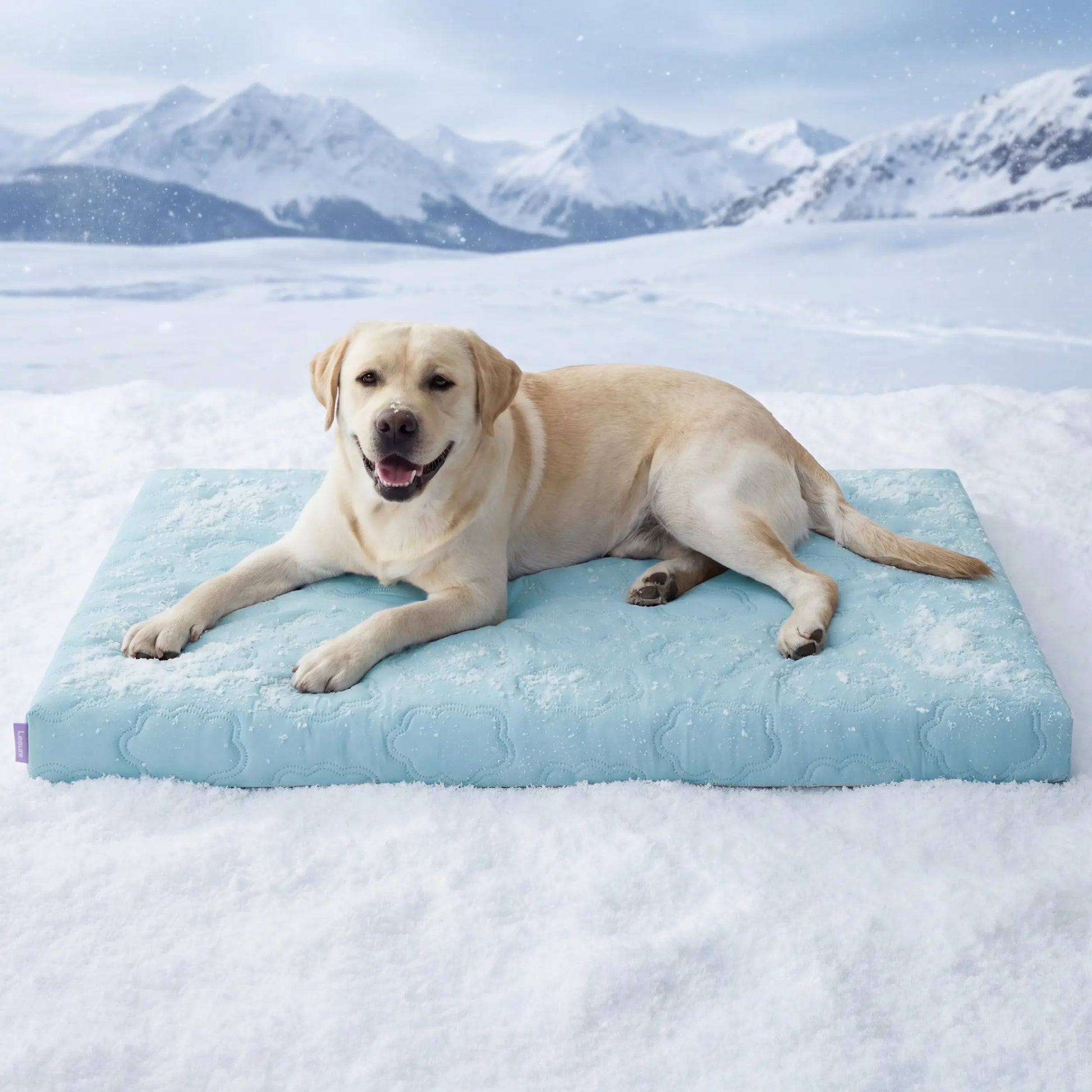 Lesure Cooling Orthopedic Dog Thick Mat – Q-Max>0.5 Cooling Mat with Washable Cover, Egg Crate Foam Non-Slip Bed for Extra Large Dogs