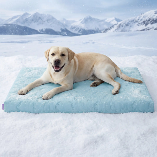 Lesure Cooling Orthopedic Dog Thick Mat – Q-Max>0.5 Cooling Mat with Washable Cover, Egg Crate Foam Non-Slip Bed for Extra Large Dogs