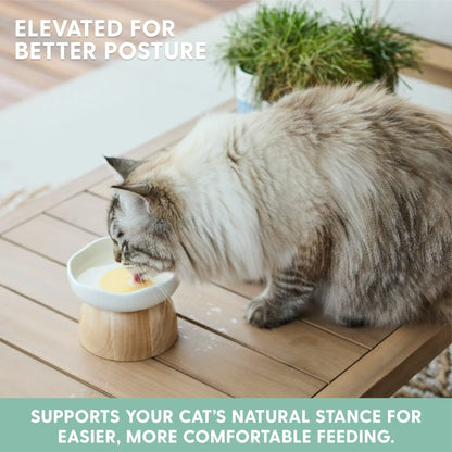 Egg Cat Bowl