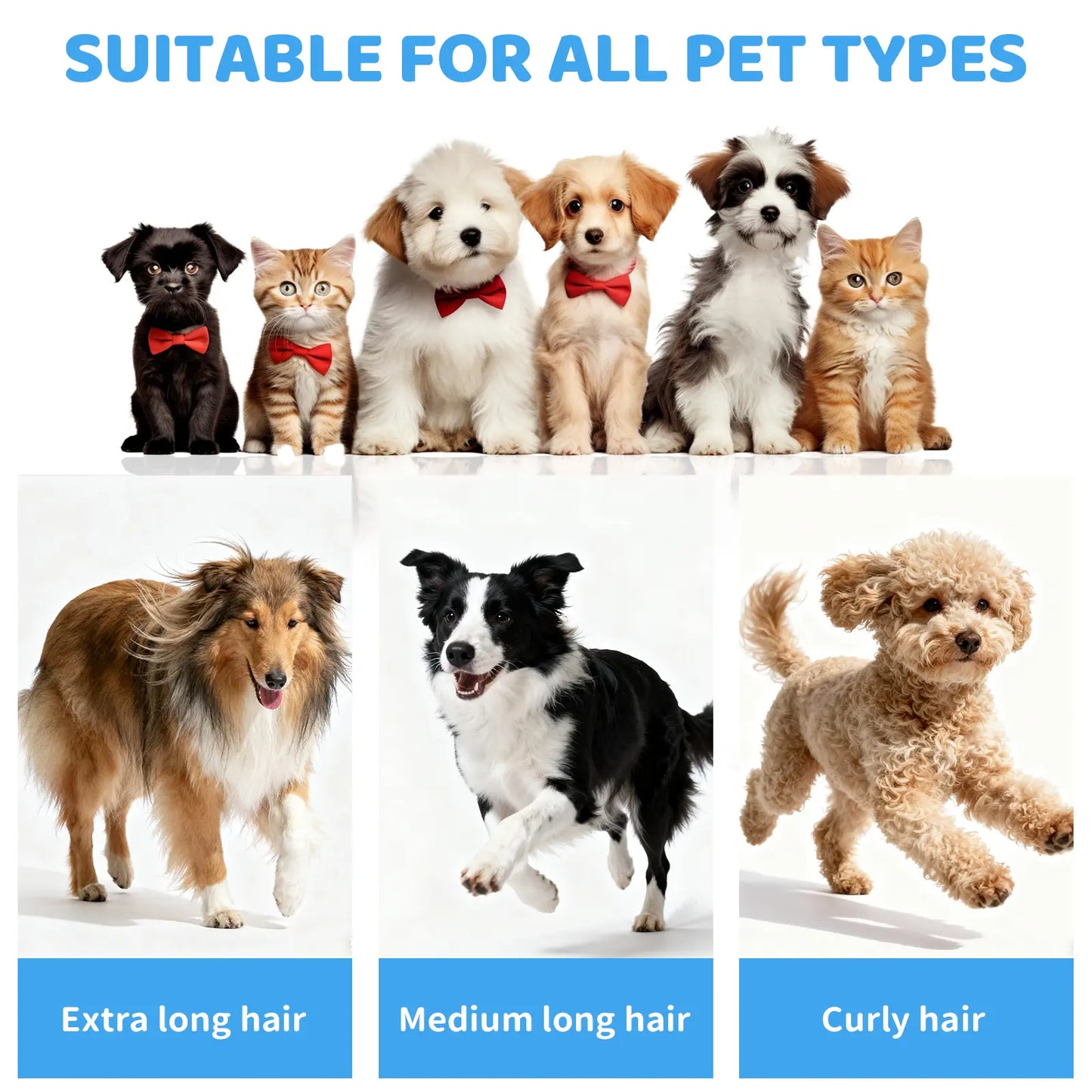 Pawimood 5-In-1 Pet Grooming Vacuum for Shedding Grooming, 13000PA Strong Suction Dog Grooming Kit with 2L Dust Cup, Professional Hair Removal and Home Cleaning Tool