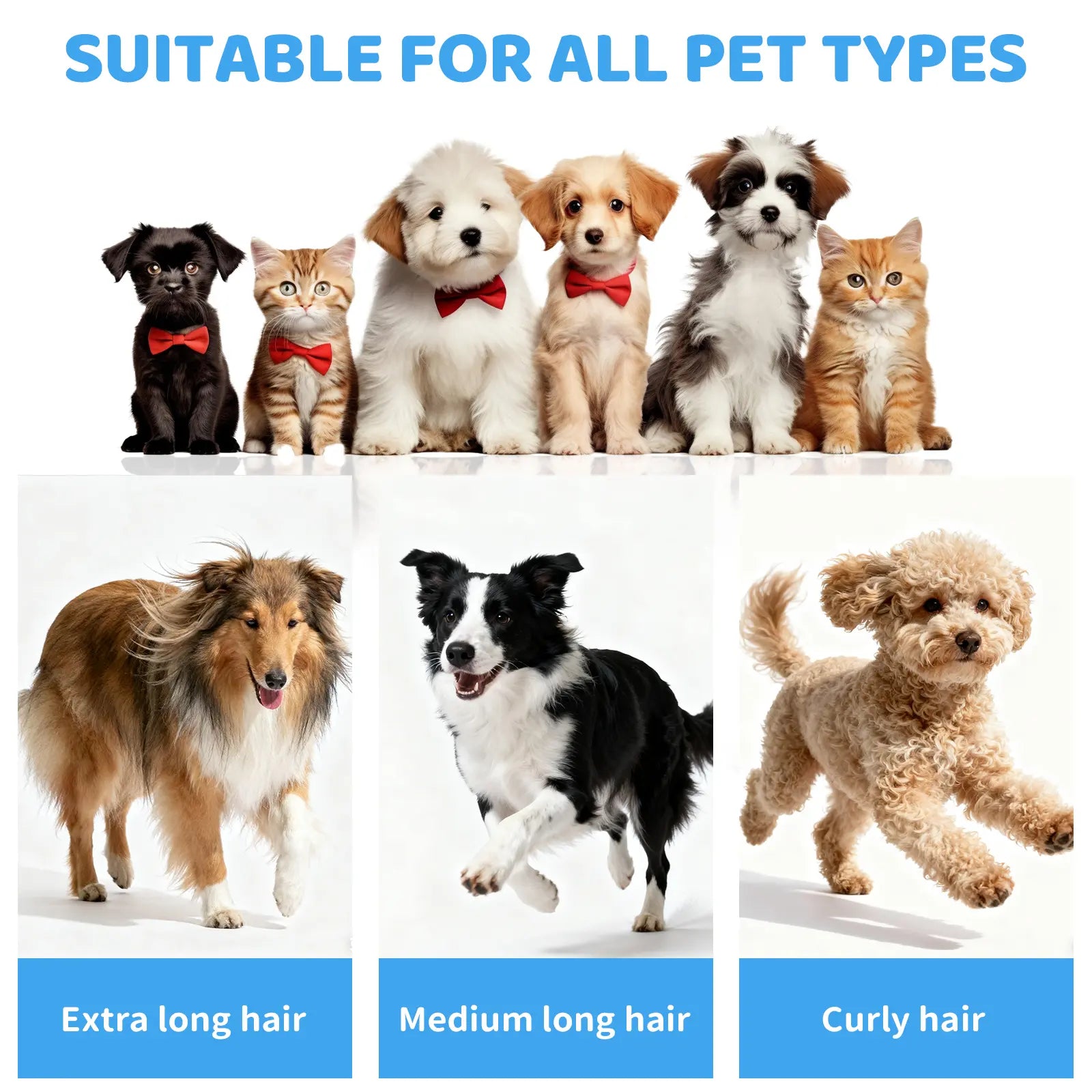 Pawimood 5-In-1 Pet Grooming Vacuum for Shedding Grooming, 13000PA Strong Suction Dog Grooming Kit with 2L Dust Cup, Professional Hair Removal and Home Cleaning Tool